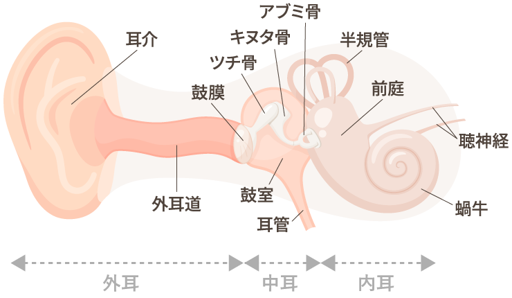 中耳炎や伝音難聴