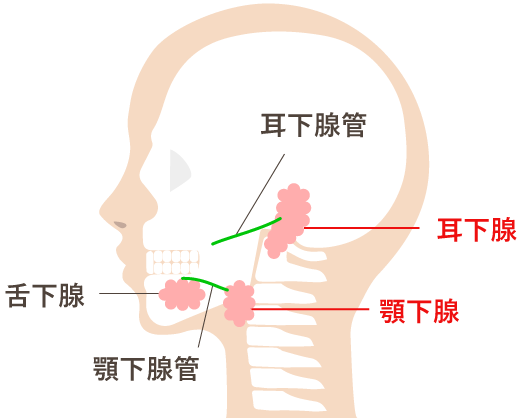 唾石症